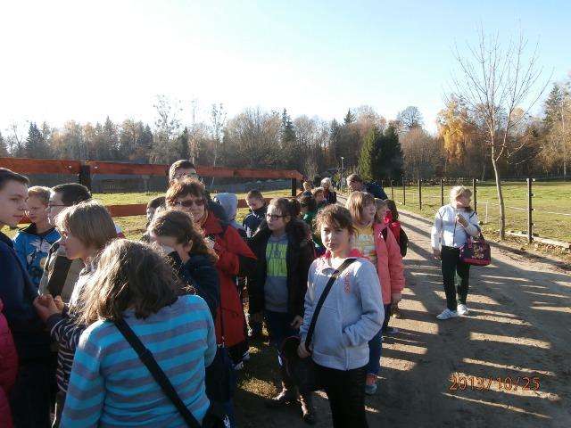 25.10.2013_WYCIECZKA DO BIAŁOWIEŻY37.JPG